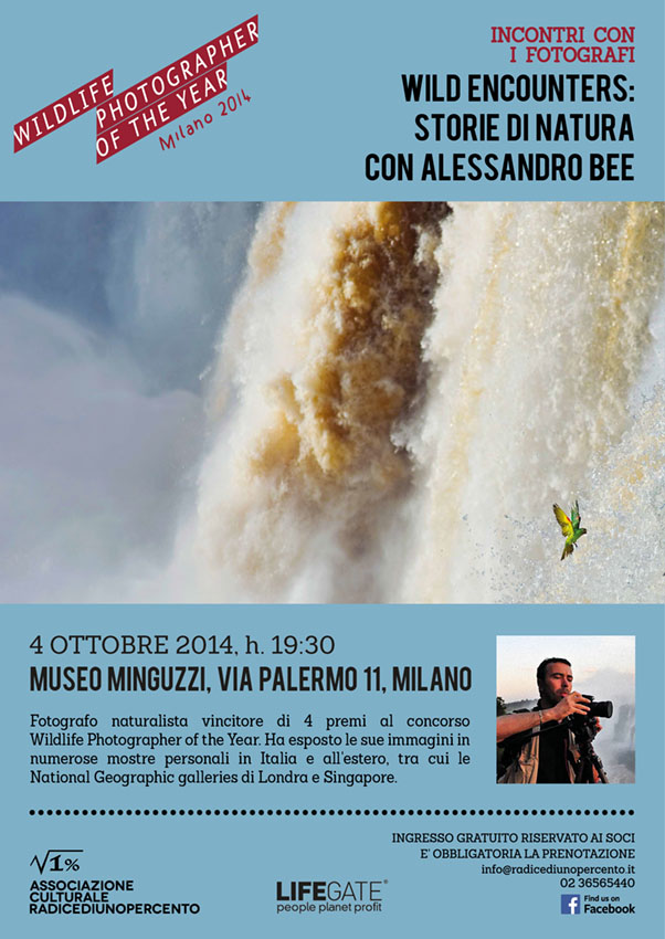 4ott_Incontro_ALESSANDRO_BEE.jpg