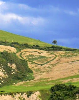 Cuore_nel_Paesaggio_URBINO_RESORT_9_ph_Alessia_Ugoccioni.jpg