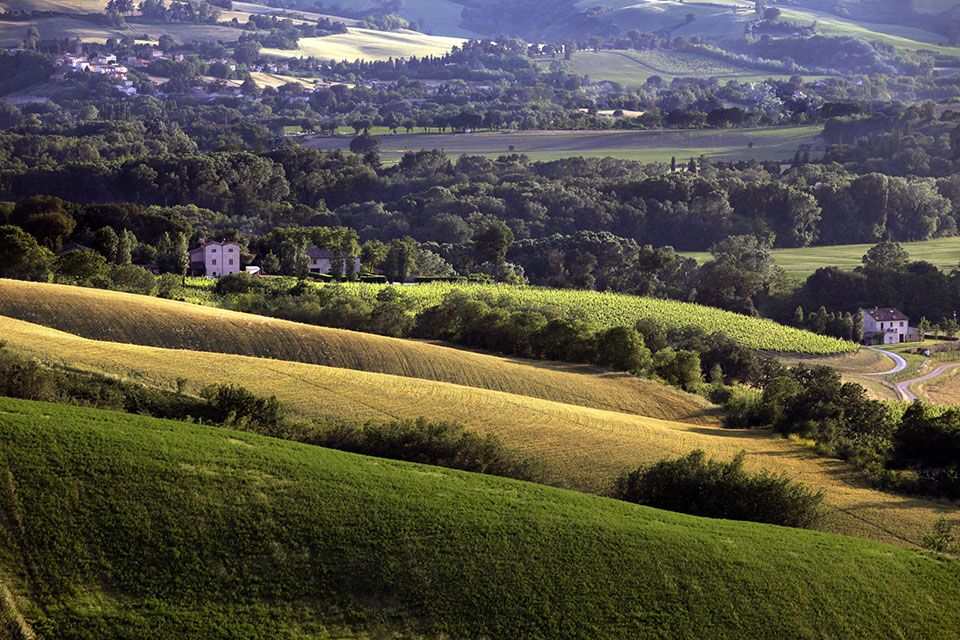 TENUTA Santi Giacomo e Filippo 16b