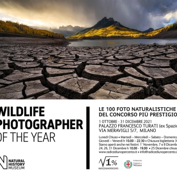 WILDLIFE PHOTOGRAPHER OF THE YEAR
