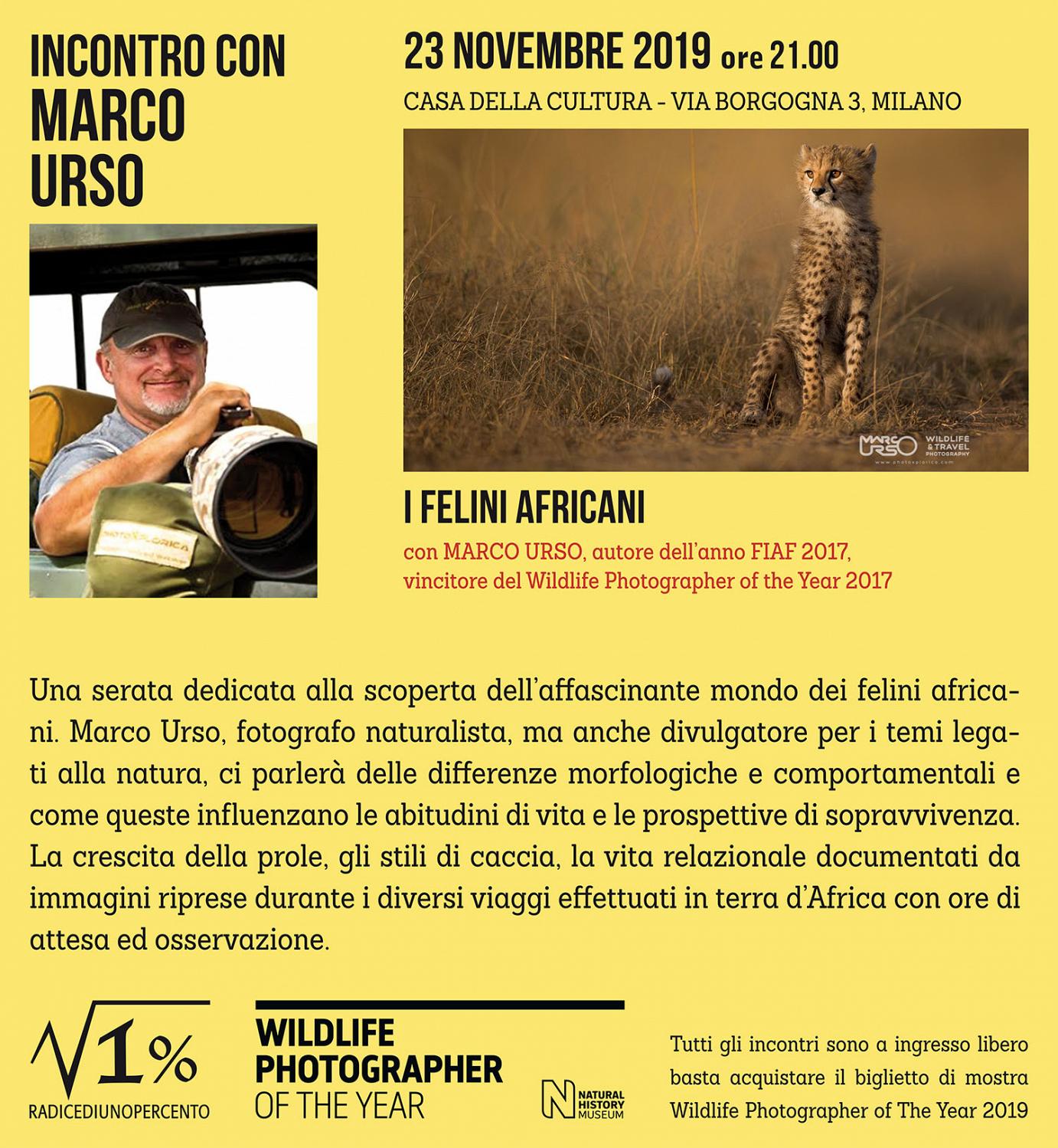 23 novembre Incontro Urso al WPY