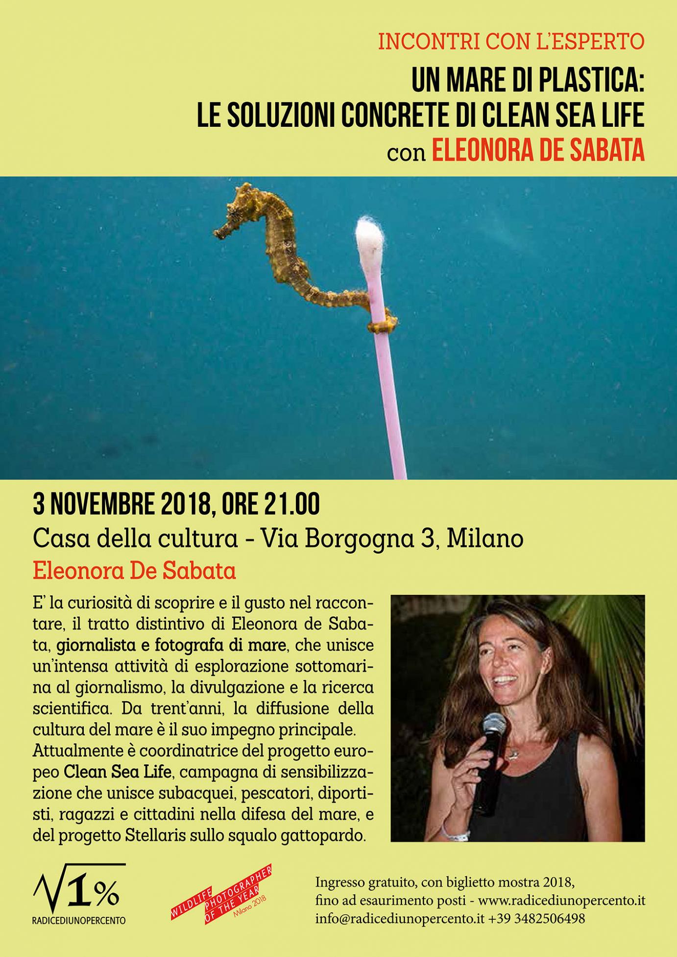 3 novembre Incontro Eleonora De Sabata Un mare di plastica b