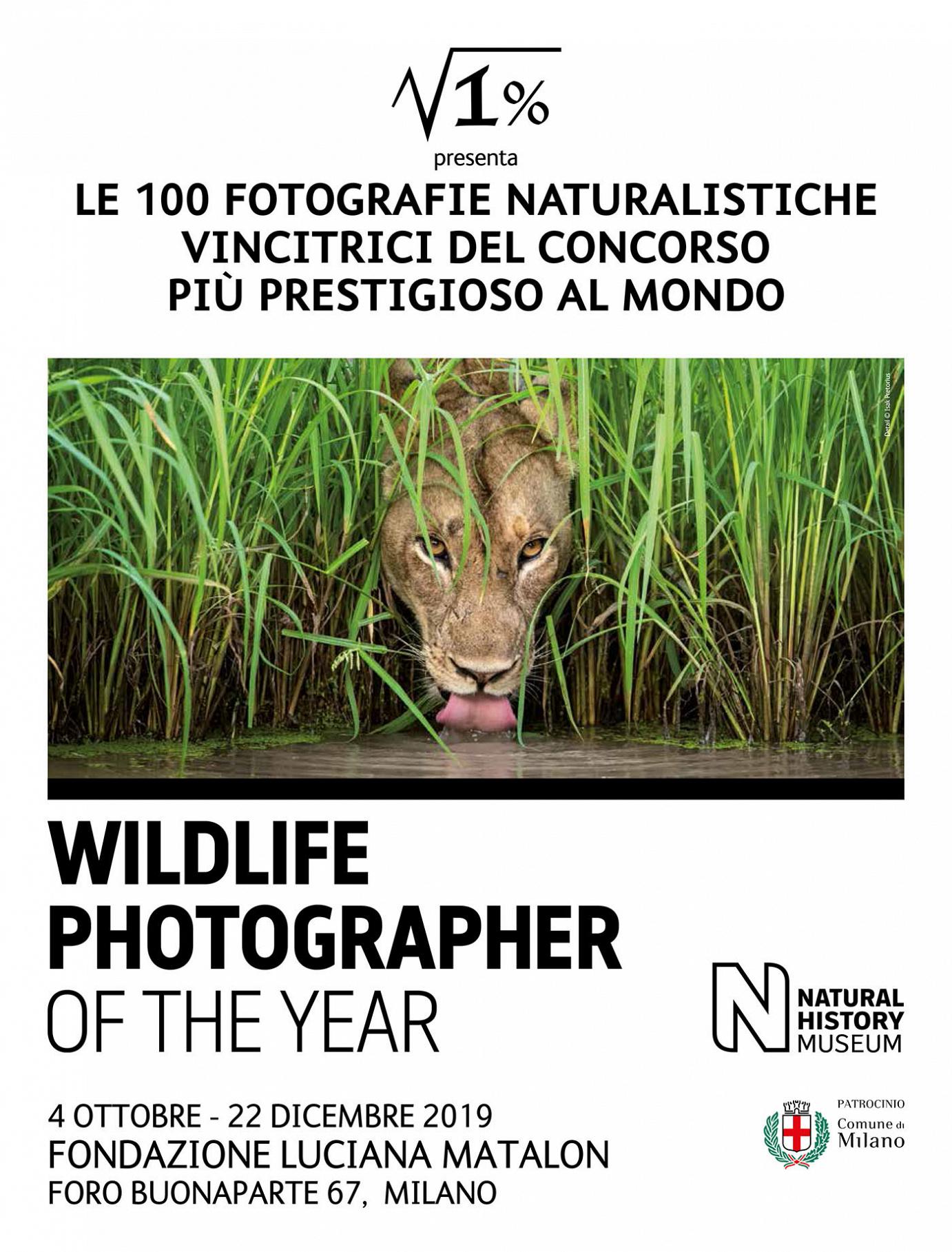 Locandina WPY 2019 patrocinio T