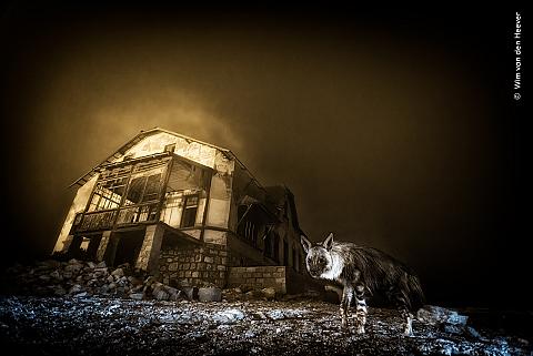 14 Wim van den Heever courtesy Wildlife Photographer of the Year