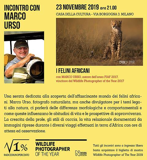 23 novembre Incontro Urso al WPY