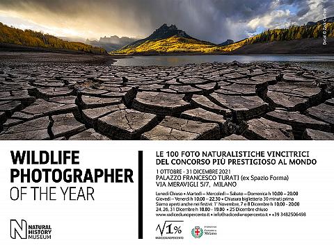 Locandina WPY 2021 MI b