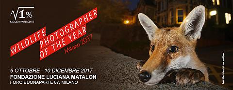 Slide homepage WPY 980 larghezza