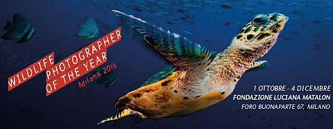 slider wpy2016